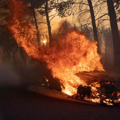 ග්‍රීසියේ ඇතෑන්ස් හි ලැව් ගිනි දරුණු වෙයි : එක් අයෙක් මරුට