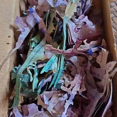 හිටපු ජනපති අපේක්ෂකයකුගේ කෝටි 25ක ඩොලර් වේයො කාලා