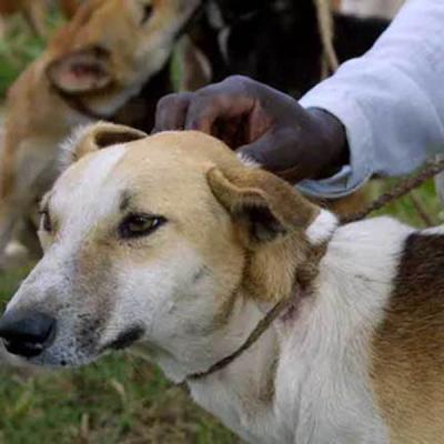 ජලභීතිකාව මාරාන්තිකයි - නිසි ප්‍රතිකාර ලබා ගන්න