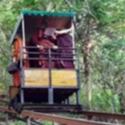 නා උයන ආරණ්‍යයේ අනතුරින් අපවත් වූ හිමිවරු ගණන ඉහළට