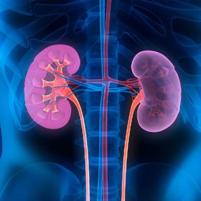 මෙරට ජනතාවගෙන් මිලියන 2කට වකුගඩු රෝග