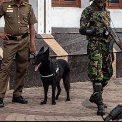 අද සිට යුක්තිය අලුත් වෙයි