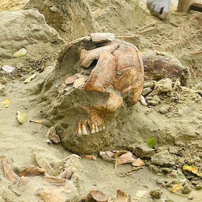 ජනපති උතුරේ සංචාරය කරද්දී චෙම්මනියෙන් තවත් ඇටකටු මතුවේ