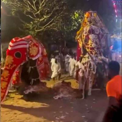 කතරගම පෙරහරේ අලි කුලප්පුවෙන් 13ක් රෝහලේ