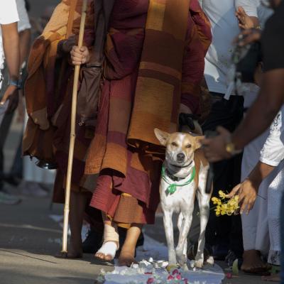 සාම පාද යාත්‍රාවේ අවසන් දිනය අද