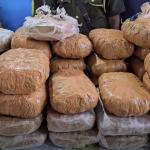 කෝටි එකහමාරකට අධික කේරළ ගංජා සමග පුද්ගලයෙකු මීගමුවේදී අත්අඩංගුවට