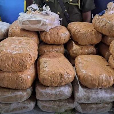 කෝටි එකහමාරකට අධික කේරළ ගංජා සමග පුද්ගලයෙකු මීගමුවේදී අත්අඩංගුවට