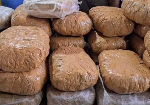 කෝටි එකහමාරකට අධික කේරළ ගංජා සමග පුද්ගලයෙකු මීගමුවේදී අත්අඩංගුවට