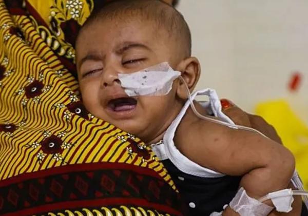 සරම්ප නිසා බංග්ලාදේශයේ ළමුන් දහසකට වඩා මරුට
