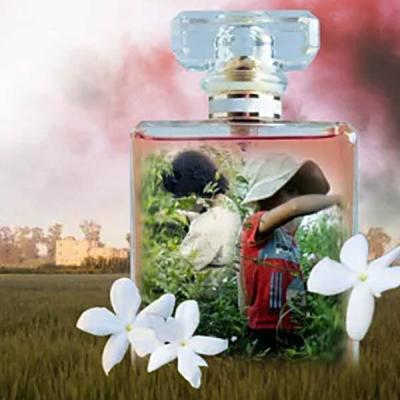 "මම පිච්ච මල්වලට වෛර කරනවා" - සුඛෝපභෝගී සුවඳ විලවුන් නිෂ්පාදනයට ළමා ශ්‍රමය යොදාගෙන