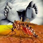 ඩෙංගු මරණ ඉහළට