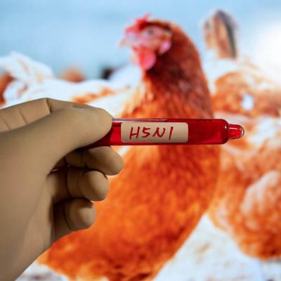 මෙක්සිකෝවේ කුරුලු උණ මරණයක්